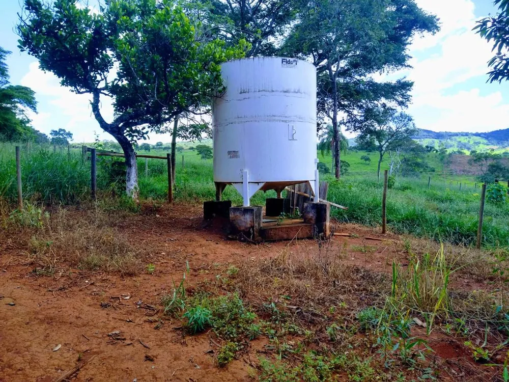 Fazenda - Foto 3