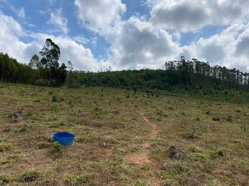 Fazenda, 850 m² - Foto 4