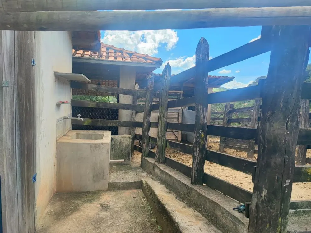 Fazenda - Foto 4