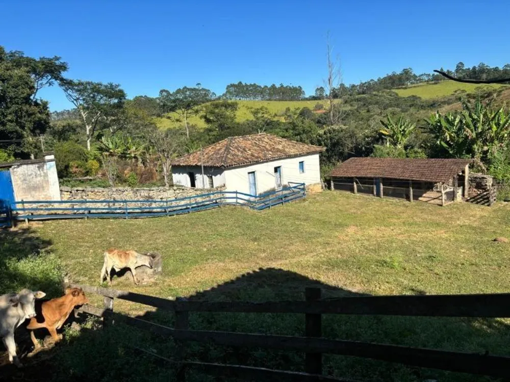 Fazenda - Foto 4