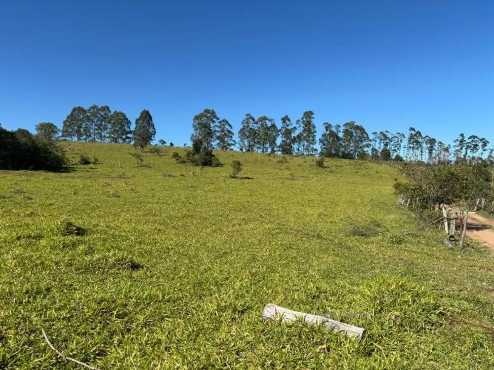 Fazenda - Foto 3