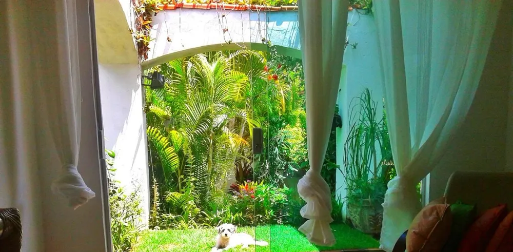 Sítio, 2 quartos, 5 m² - Foto 3