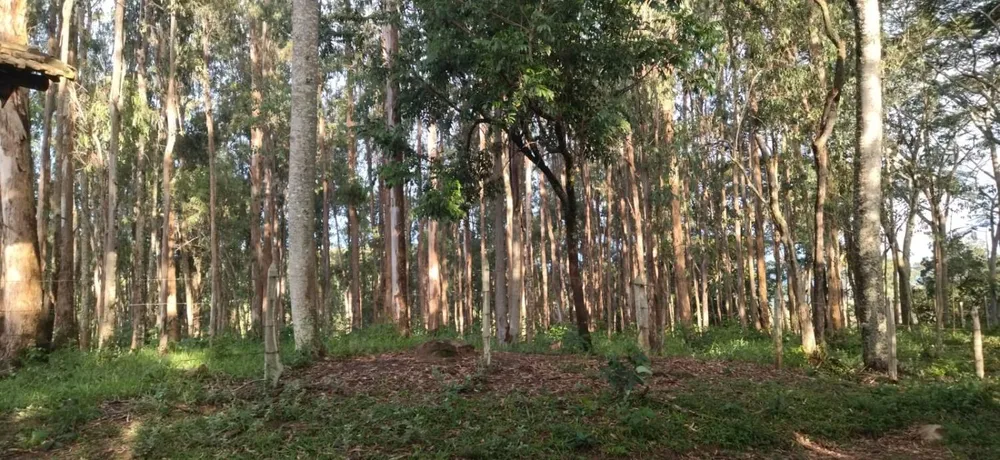 Fazenda, 1000 m² - Foto 1