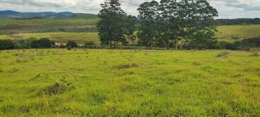 Fazenda - Foto 1