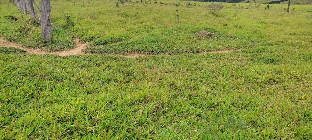 Fazenda - Foto 3