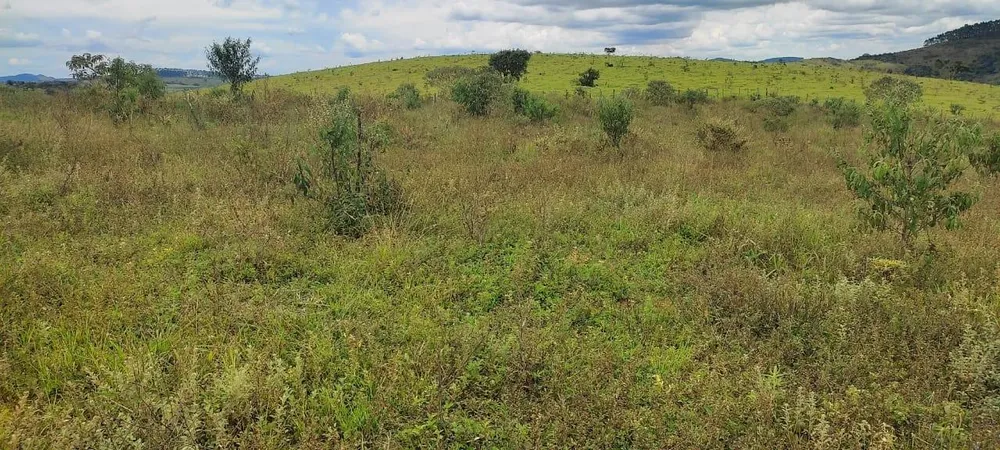 Fazenda - Foto 2