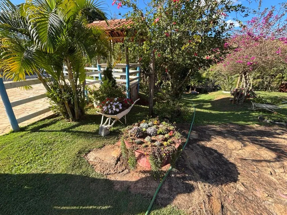 Fazenda, 6000 m² - Foto 2