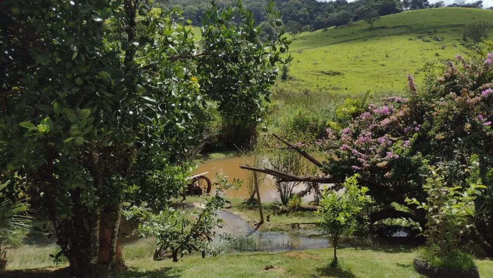 Fazenda, 6000 m² - Foto 1