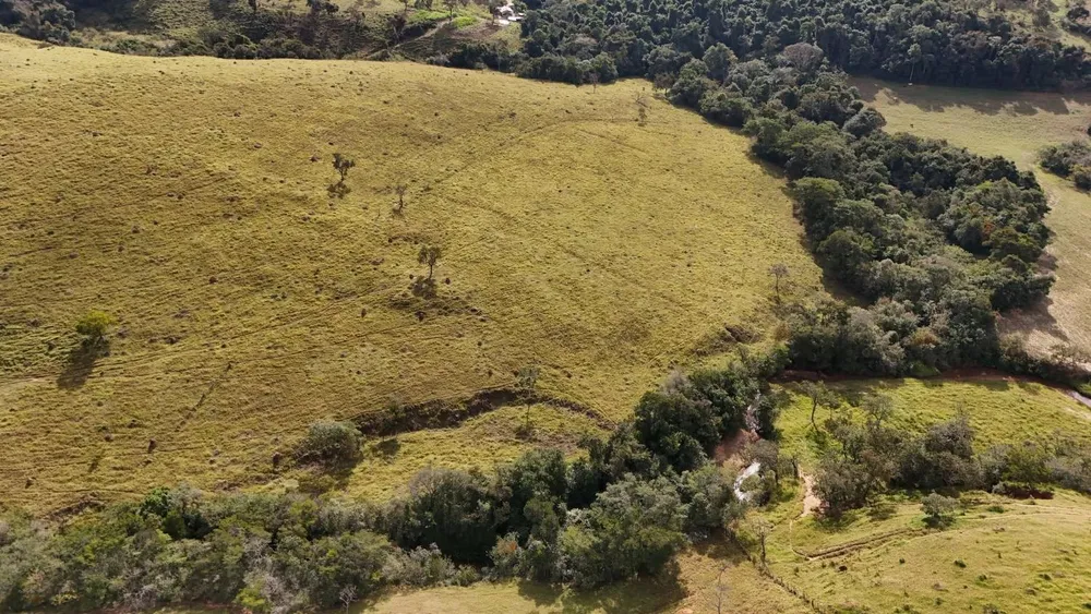 Fazenda - Foto 2