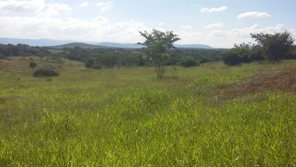 Fazenda - Foto 4