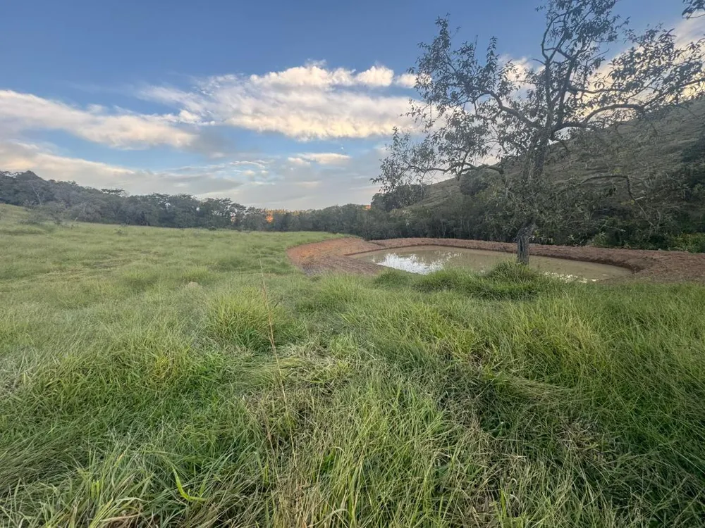 Terreno - Foto 1