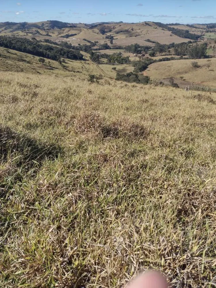 Terreno - Foto 2