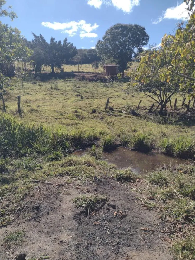 Terreno - Foto 1
