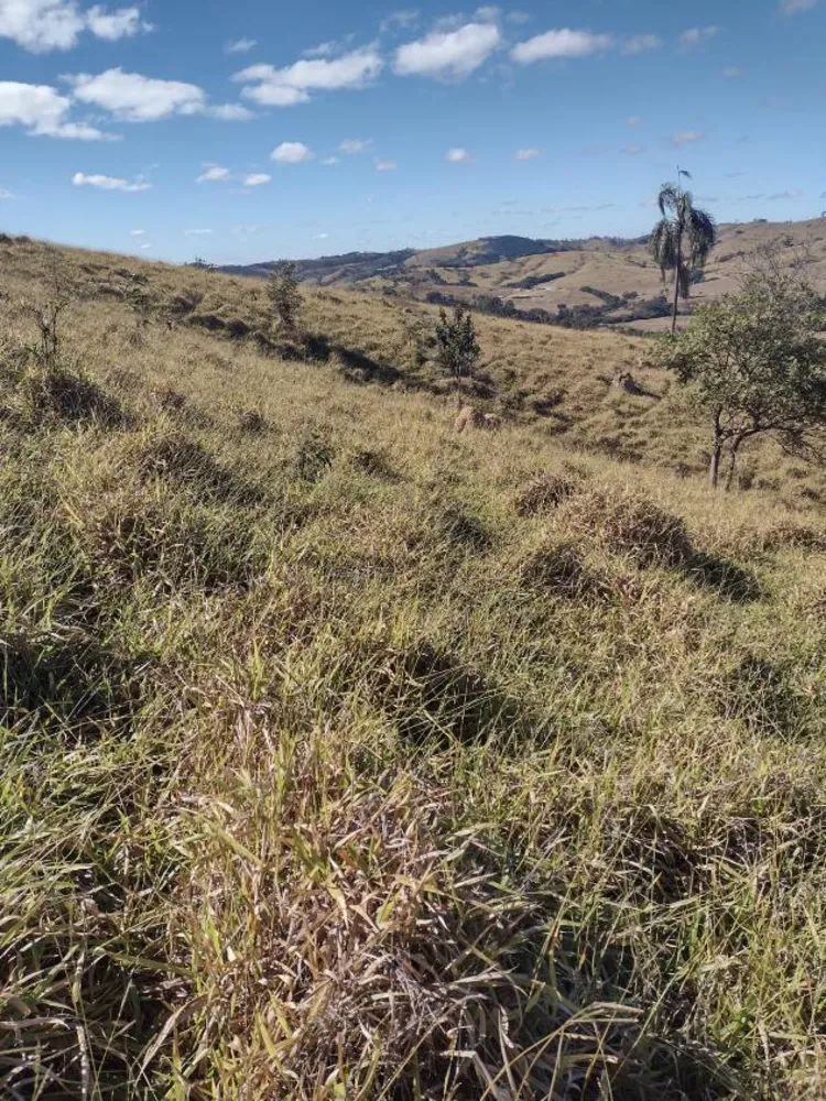 Terreno - Foto 4
