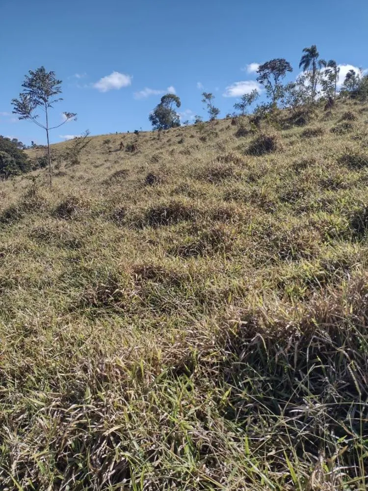 Terreno - Foto 3