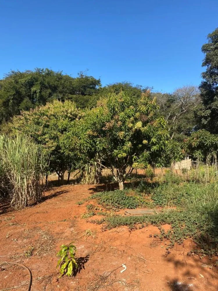 Terreno - Foto 4