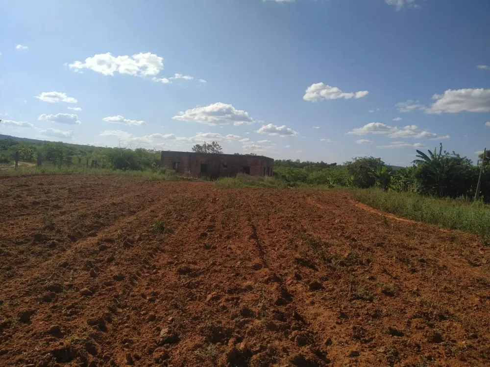 Fazenda - Foto 3