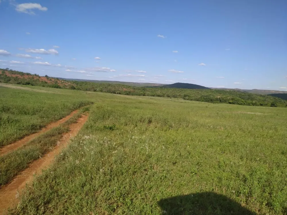 Fazenda - Foto 1