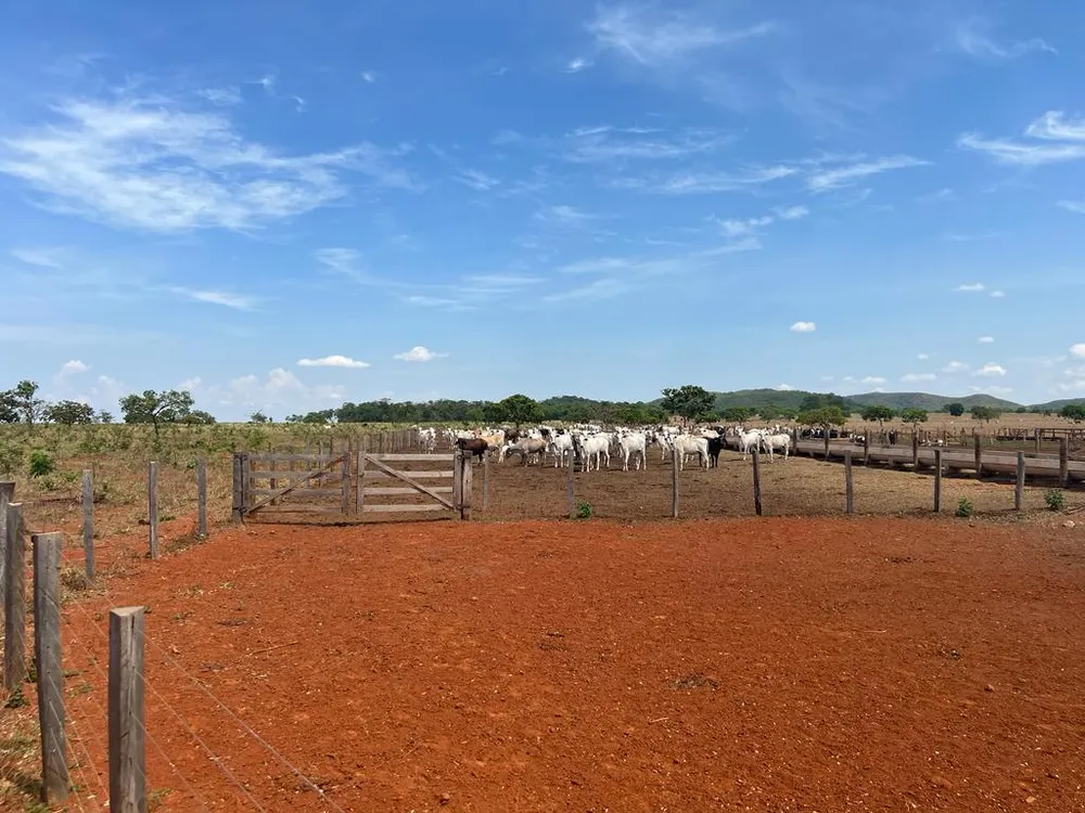 Fazenda - Foto 2