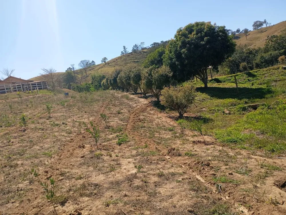 Fazenda, 3000 m² - Foto 4
