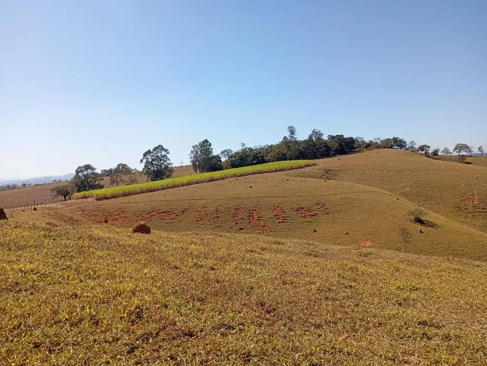 Fazenda, 3000 m² - Foto 2