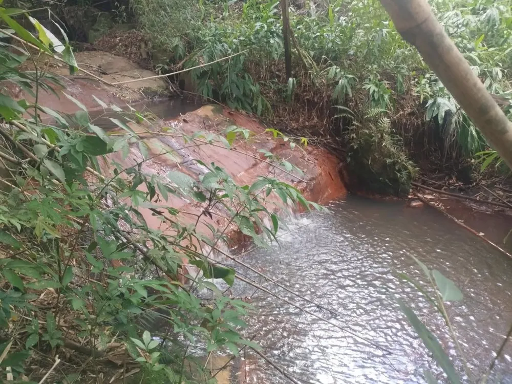 Fazenda, 600 m² - Foto 2