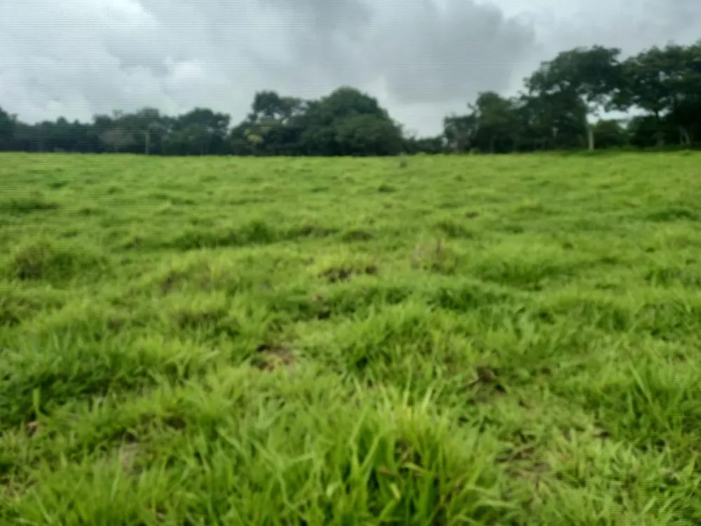 Terreno - Foto 2