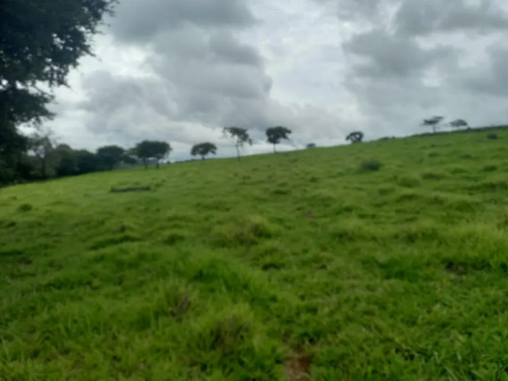 Terreno - Foto 4