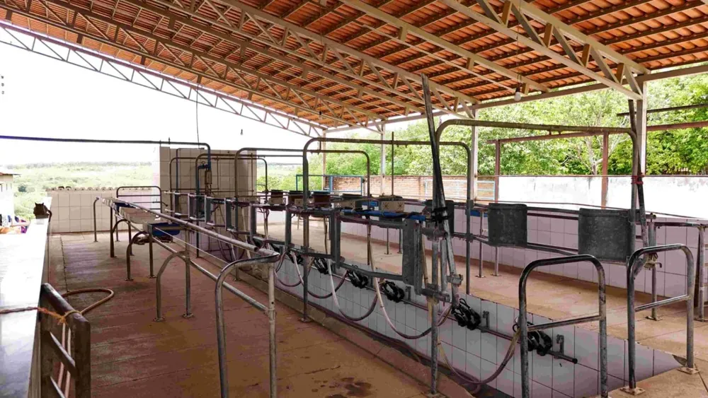 Fazenda - Foto 3
