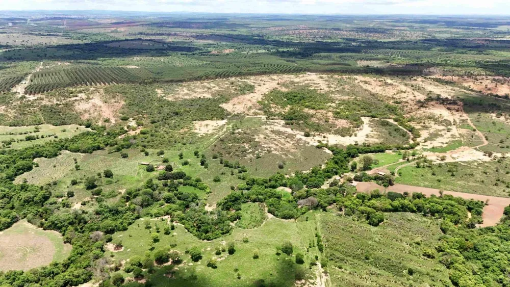 Fazenda - Foto 2