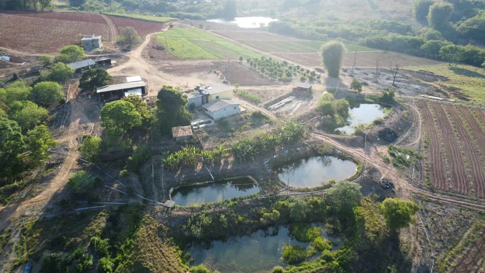 Fazenda - Foto 2