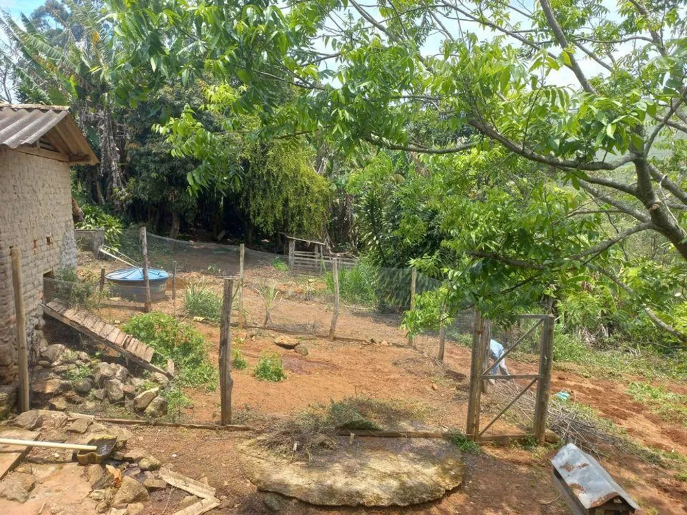 Terreno - Foto 1