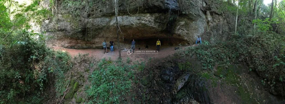 Fazenda, 138 hectares - Foto 10