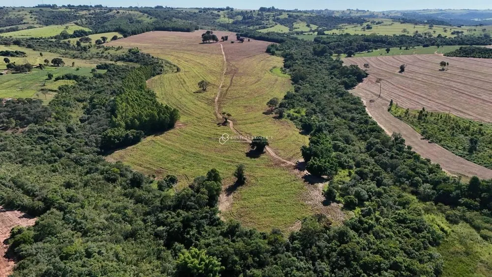 Fazenda, 138 hectares - Foto 4