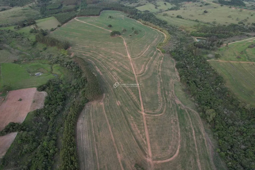 Fazenda, 138 hectares - Foto 7