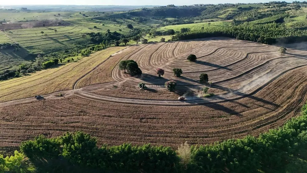 Fazenda, 138 hectares - Foto 3
