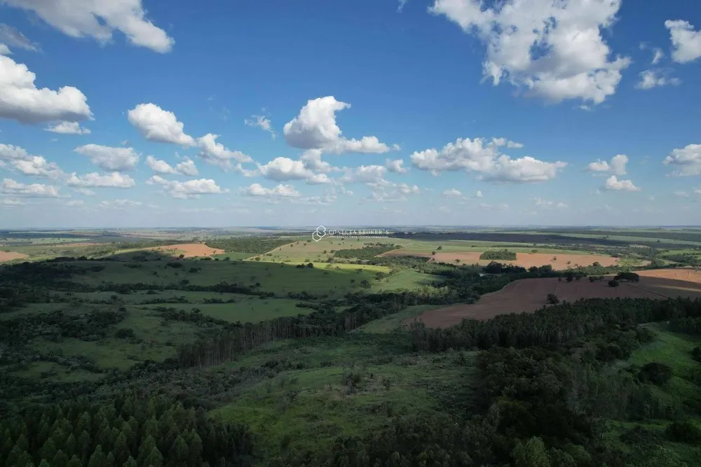 Fazenda, 138 hectares - Foto 7