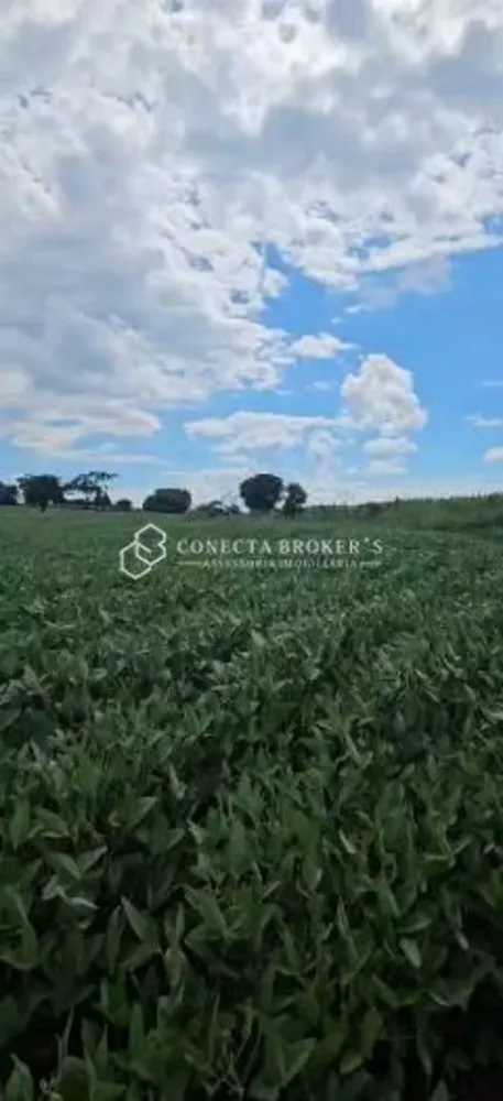 Fazenda, 322 hectares - Foto 1
