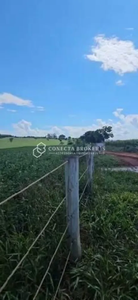 Fazenda, 322 hectares - Foto 6