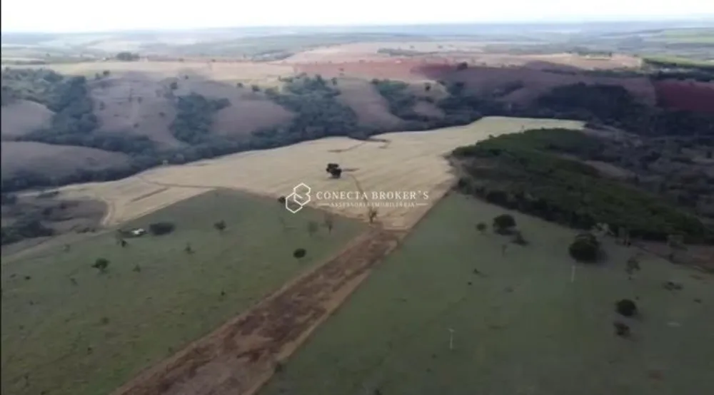 Fazenda, 322 hectares - Foto 4