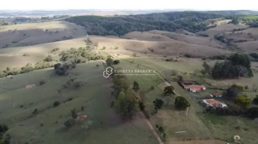 Fazenda, 322 hectares - Foto 4
