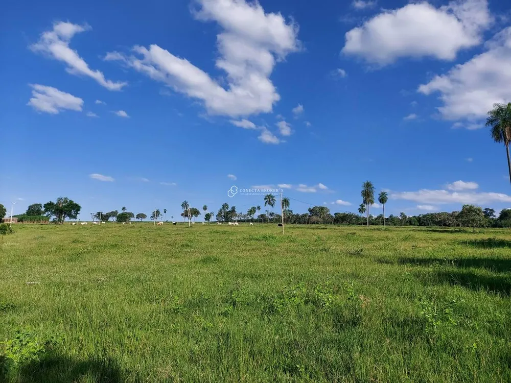 Chácara, 15 hectares - Foto 6