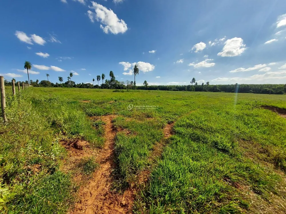 Sítio, 15 hectares - Foto 4