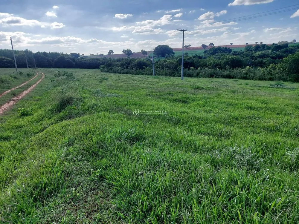 Chácara, 15 hectares - Foto 3