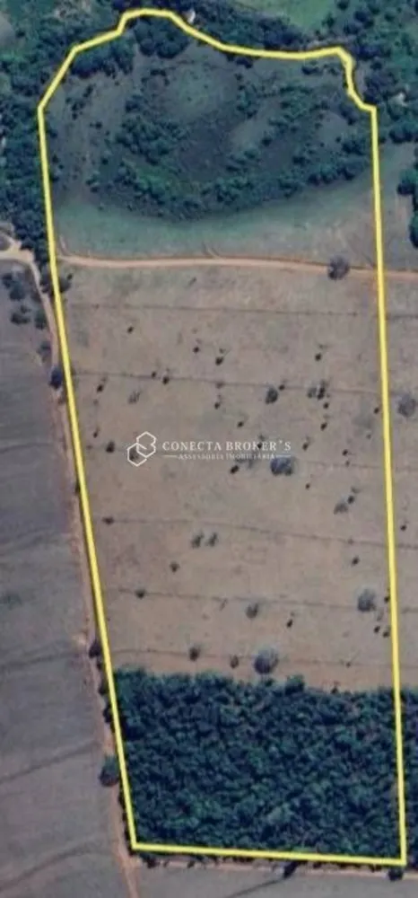 Sítio, 15 hectares - Foto 3