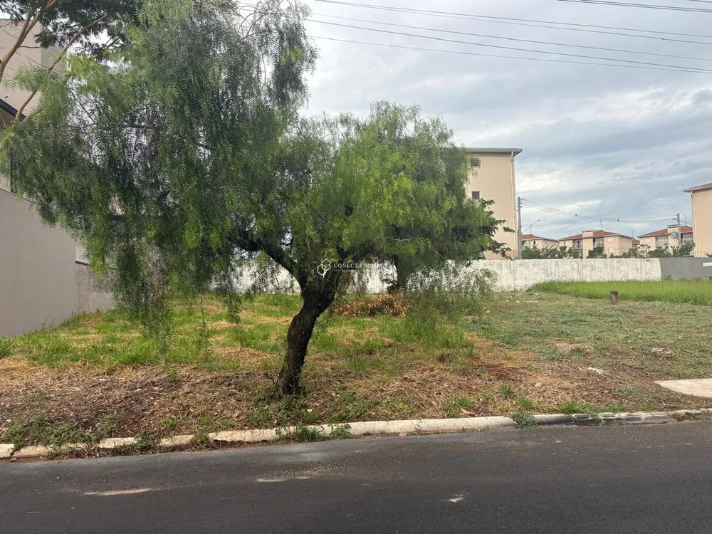 Terreno - Foto 2