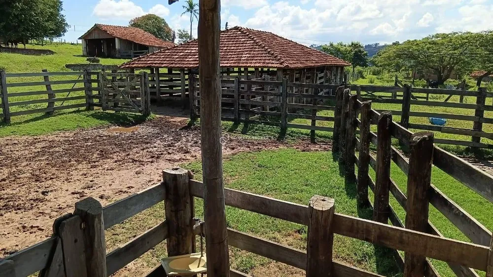 Fazenda, 494 hectares - Foto 6