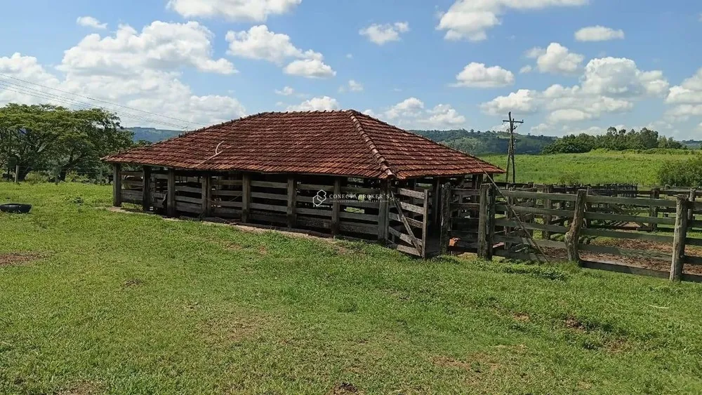 Fazenda, 494 hectares - Foto 7