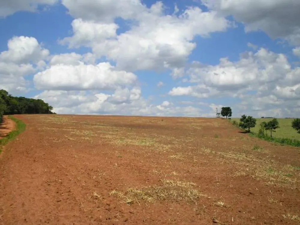 Fazenda, 260 hectares - Foto 2