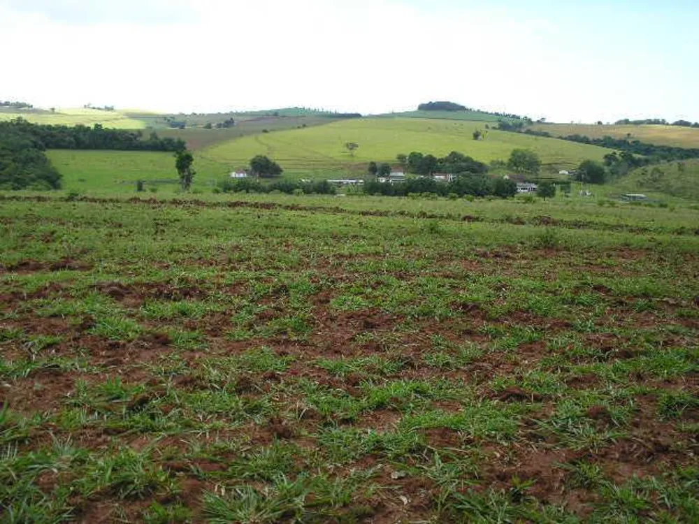 Fazenda, 260 hectares - Foto 4